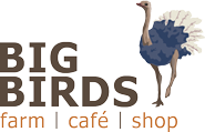 Logo Big Birds